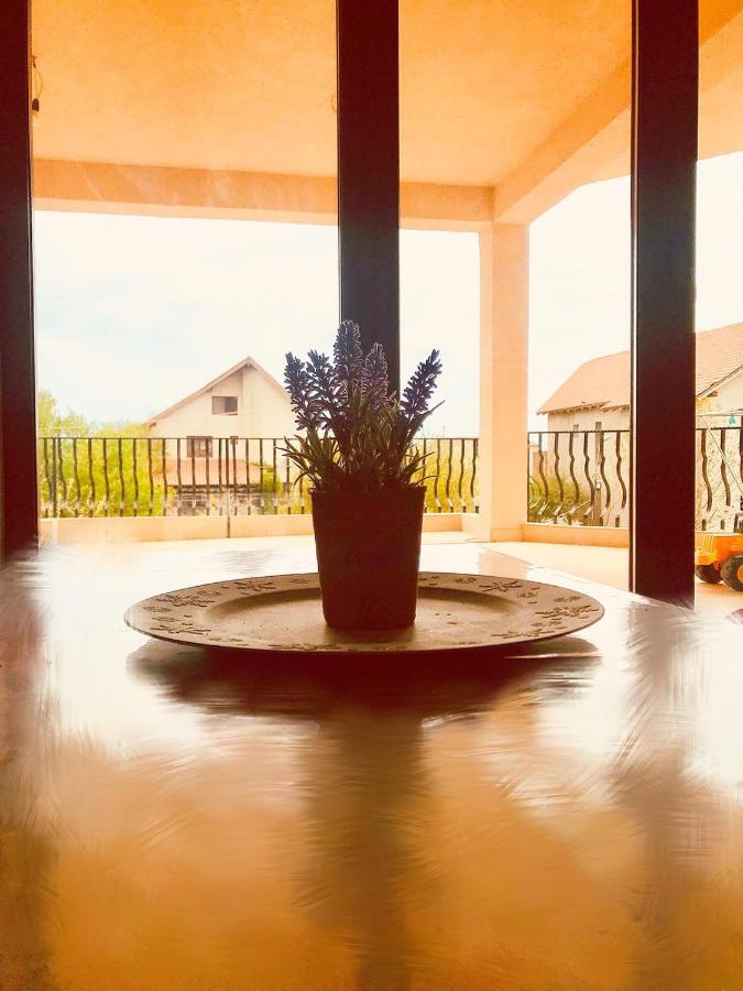 Breeze Villa Mamaia Nord Navodari Ngoại thất bức ảnh